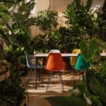 Greenhaus_Vitra Calienna Eames Plastic Chair (c)vitra