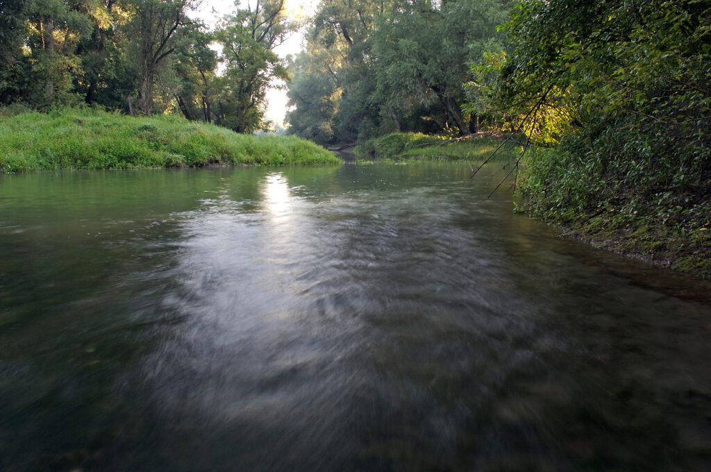 © Nationalpark Donau Auen/Kovacs