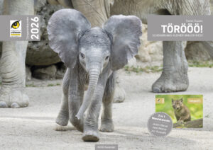 Mit seinem Kalender bringt der Tiergartenfotograf die tierischen Lieblinge des Zoos in die Wohnzimmer der Menschen © Daniel Zupanc
