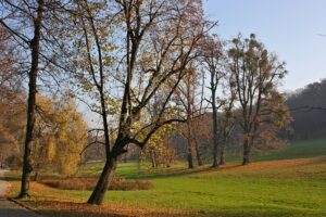 Pötzleinsdorfer Schlosspark © Funke/CC BY SA 3.0./commons.wikimedia.org
