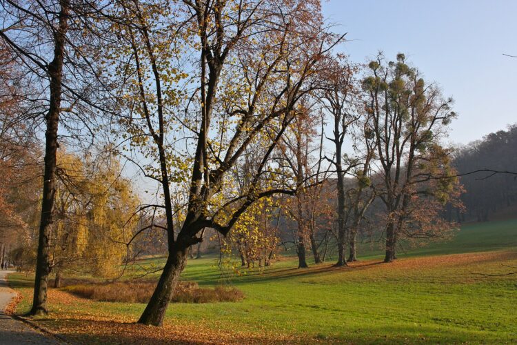 Pötzleinsdorfer Schlosspark © Funke/CC BY SA 3.0./commons.wikimedia.org