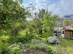 Petitionsausschuss diskutiert St. Marx und Schulvorplatz