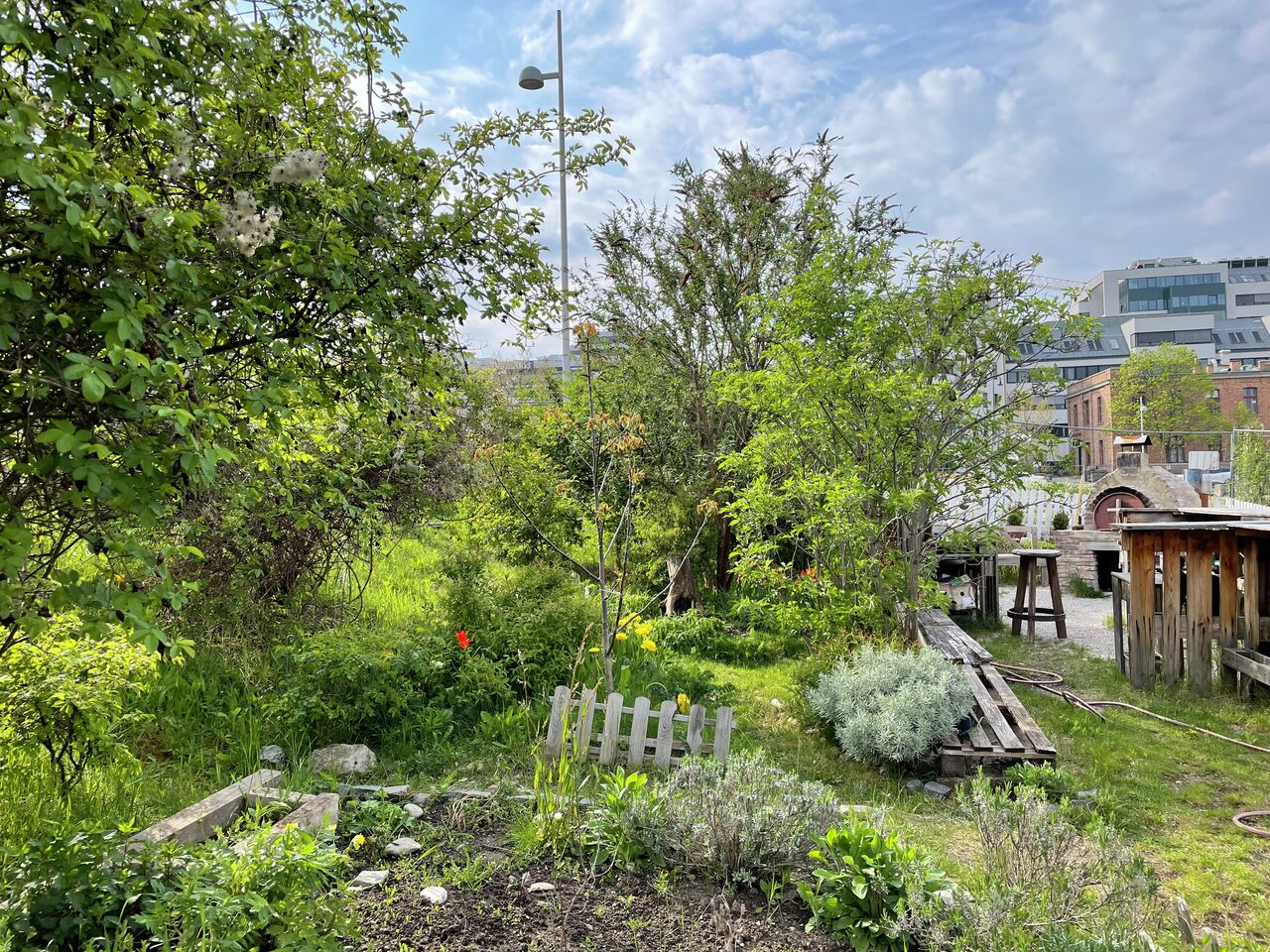 Petitionsausschuss diskutiert St. Marx und Schulvorplatz