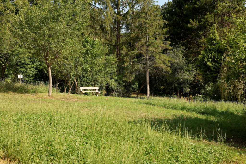 Steinhofgründe © Stadt Wien/Martin Votava