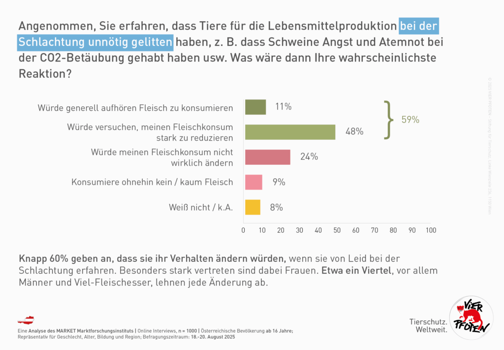 Tierleid starkes Kriterium für Reduktion des Fleischkonsums