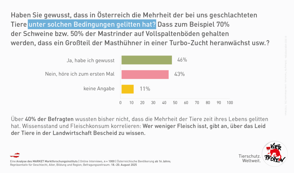 Tierleid starkes Kriterium für Reduktion des Fleischkonsums