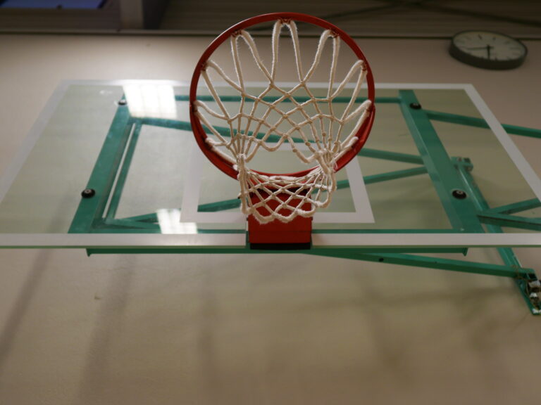 Mehrzweckhalle Mollardgasse