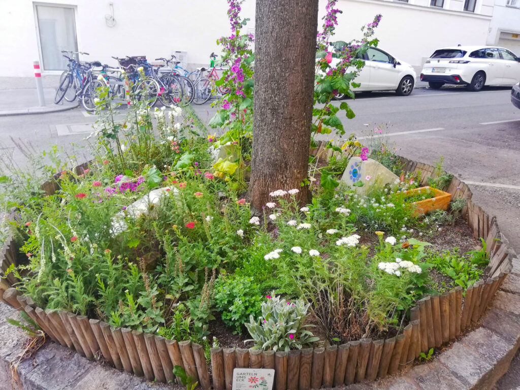 Das Einreichfoto der Siegerin Anna Szostak-Weingartner. 