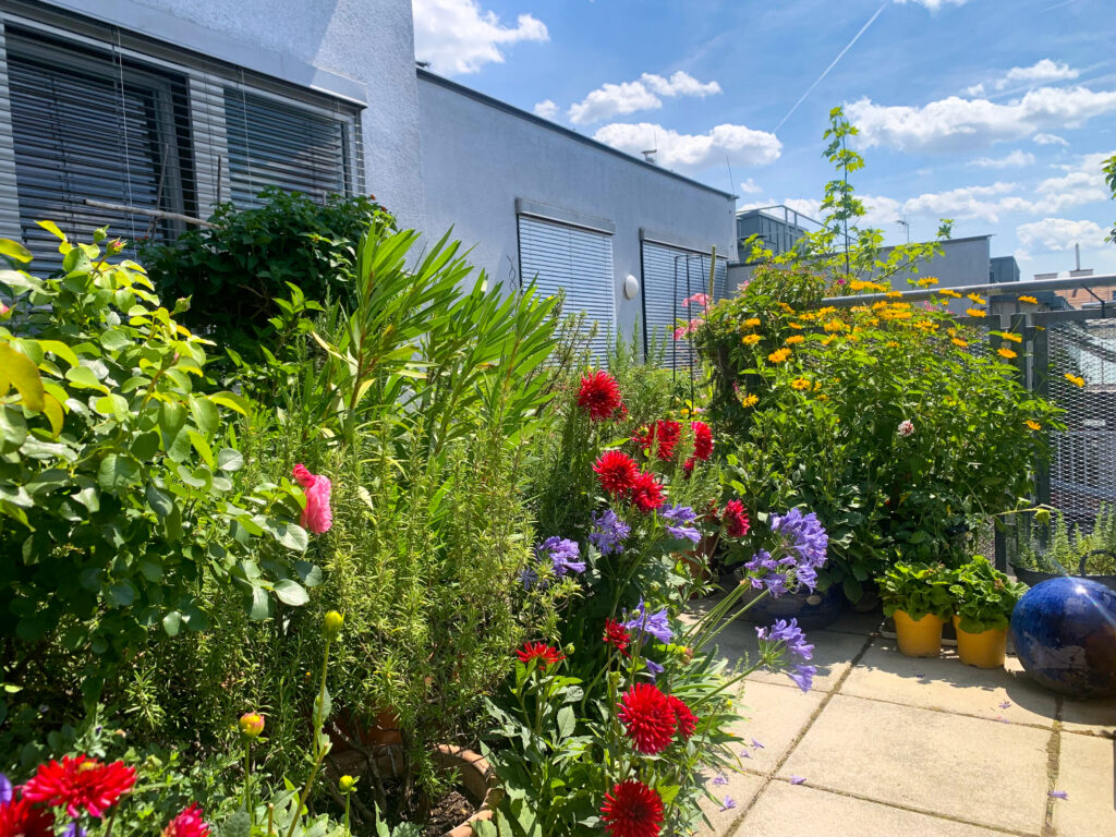 Mit diesem Bild gewann Bernhard Endrich den Wettbewerb.