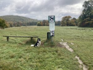 Ein Paradies fr alle, die ihren Hund gerne frei laufen lassen © Berger