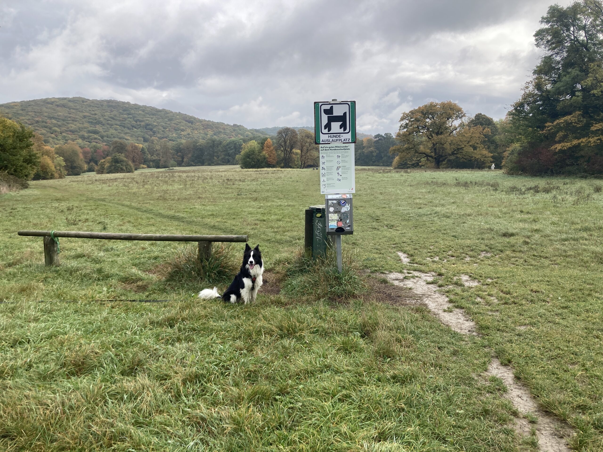 Hundeauslaufzone Tiefauwiese
