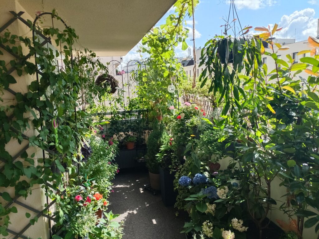 Dieser Balkon ist eine wahre Grünoase © privat