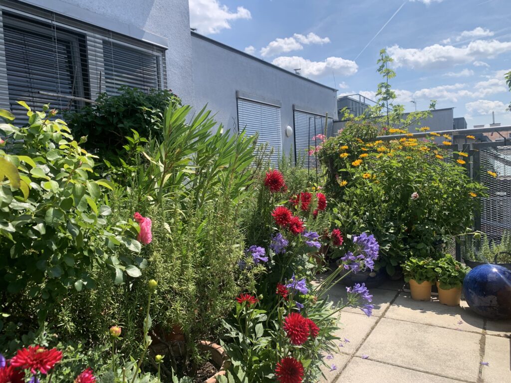 Hier hat sich Bernhard Endrich ein Paradies geschaffen © privat