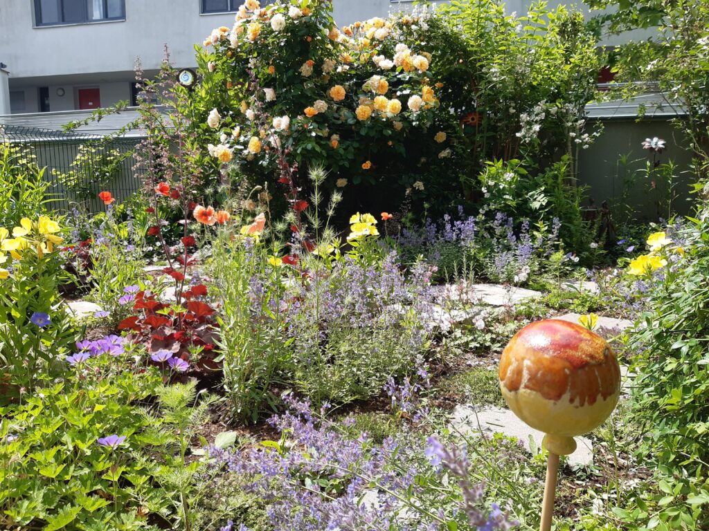 Eveline Weiss hegt und pflegt den schönsten Garten der Stadt © privat