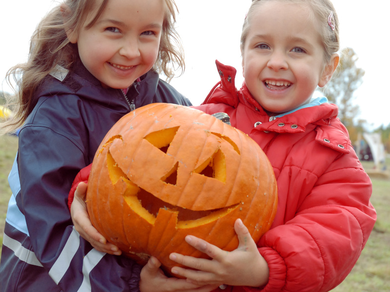 Kürbisschnitzen, was das Messer hergibt heißt es am Enkplatz. © WienXtra/Barbara Mair