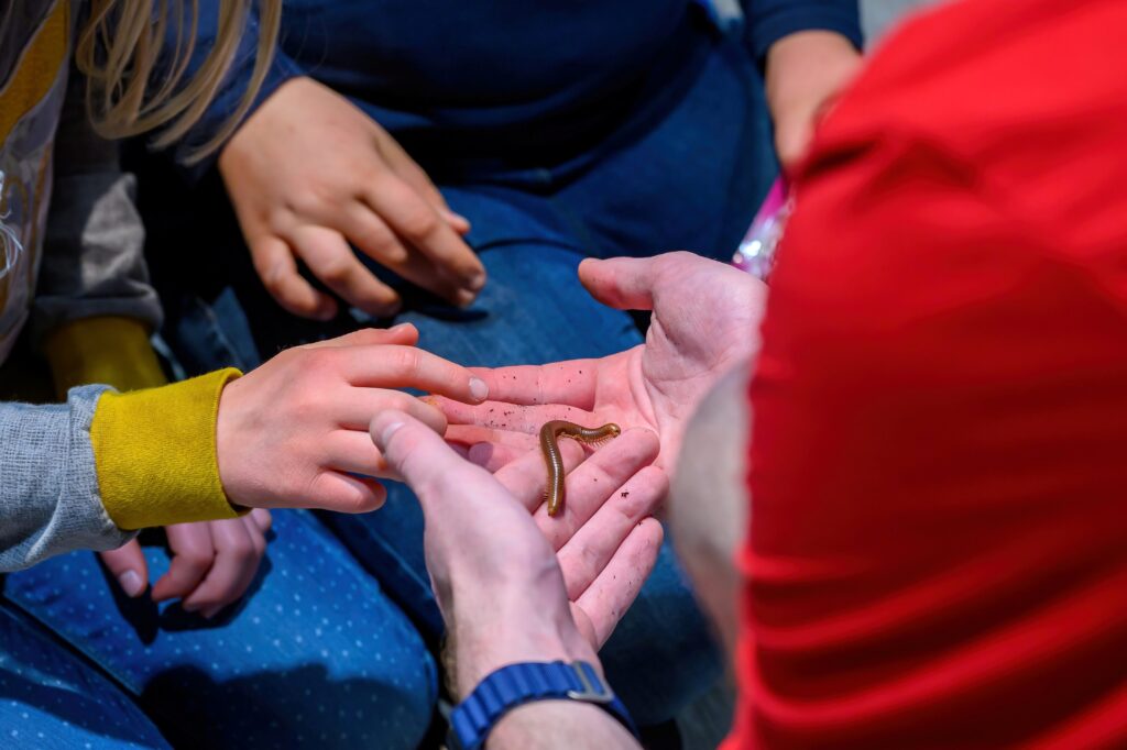 Gruseliges Krabbeln im Haus des Meeres