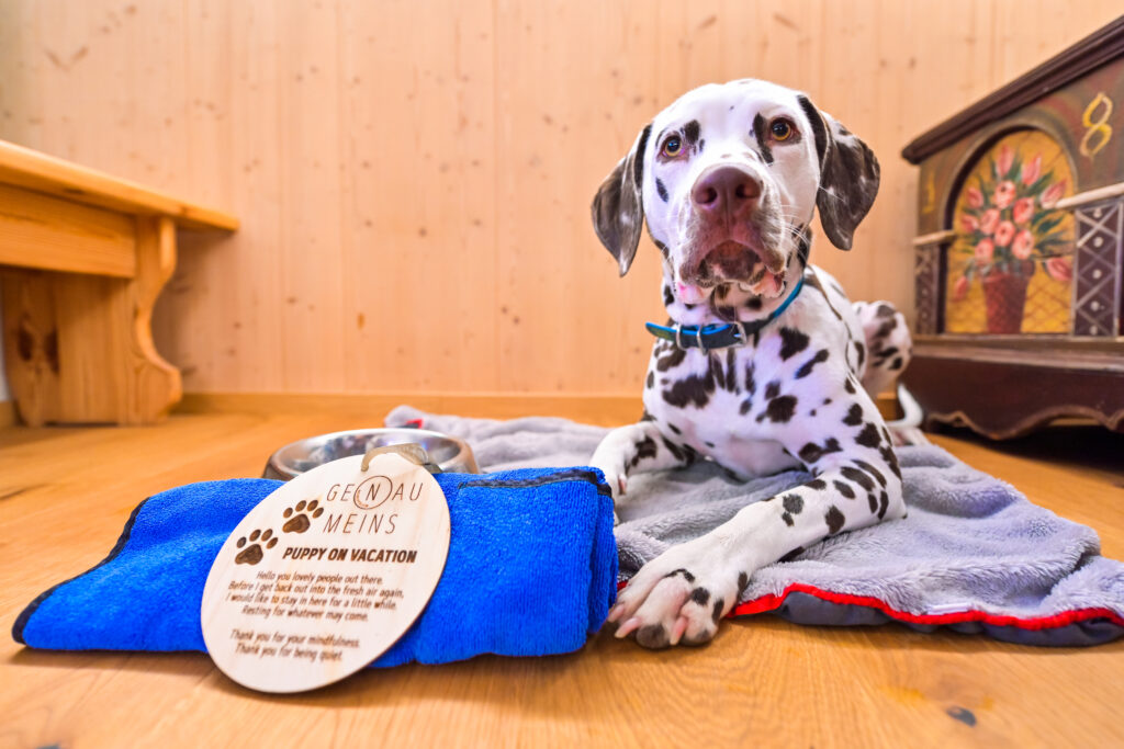 Urlaub mit Hund Schönleitn