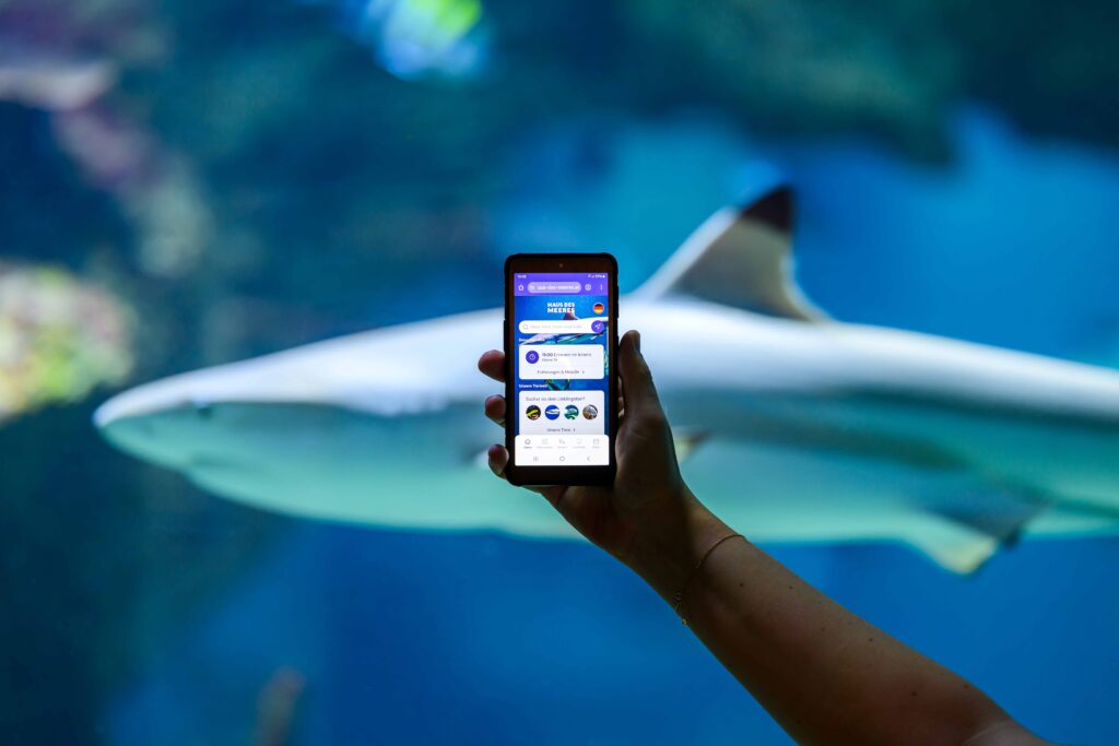 Quiz-Tour Haus des Meeres