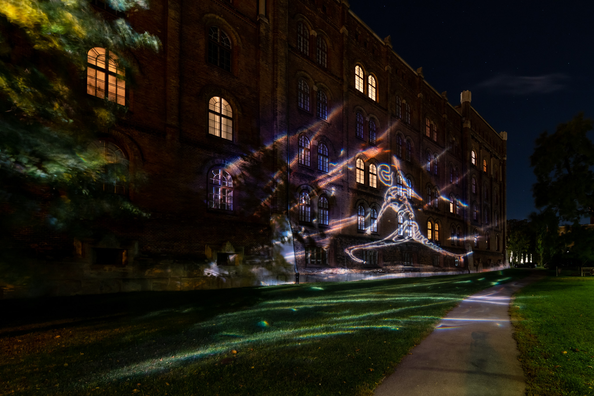 Echte Lichtblicke: Erhellende Kunst und aktive Wiener