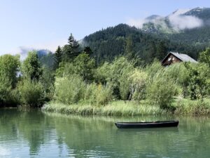 Frein Chalets