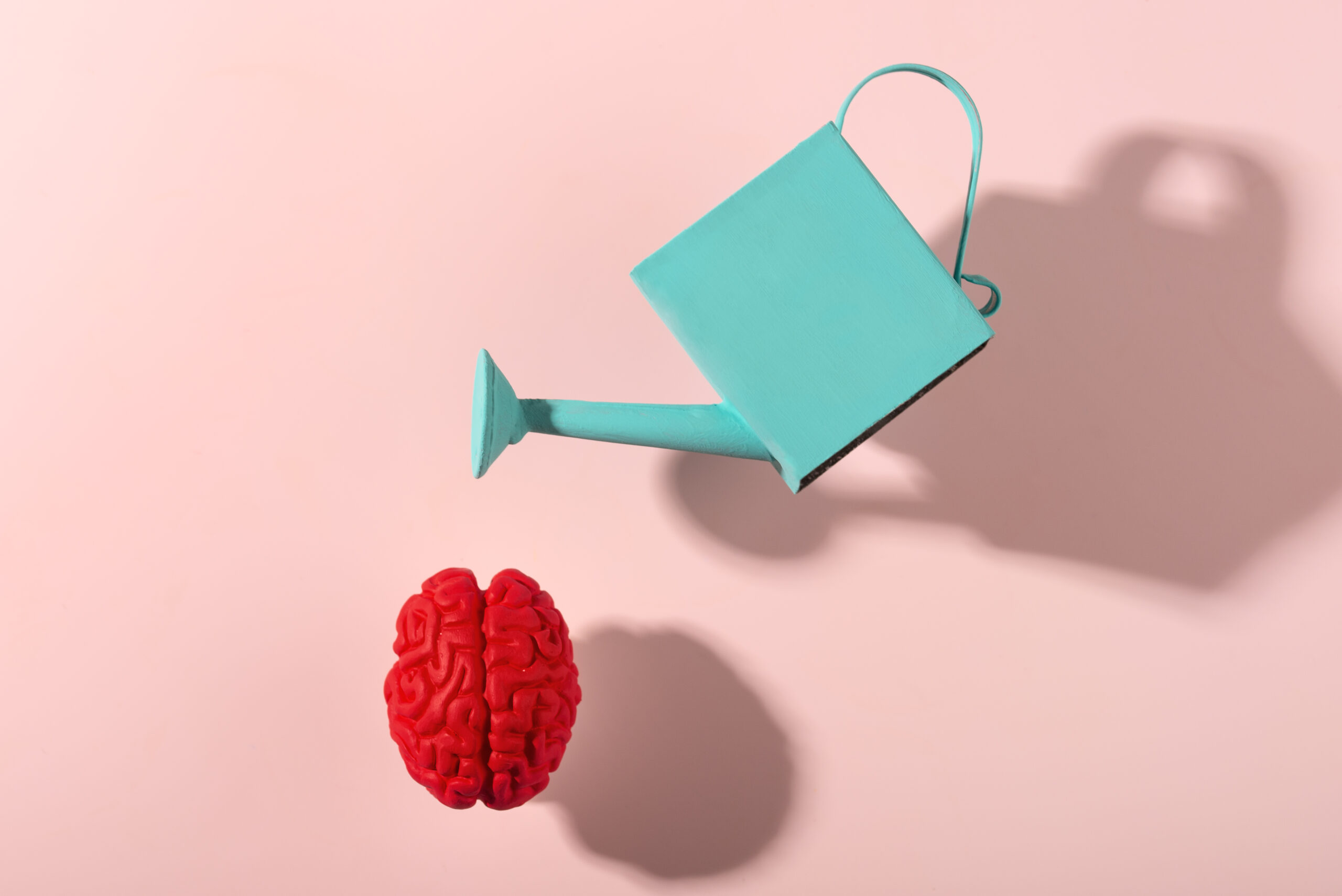 Wien stärkt die Seele: Aktionstag im Rathaus