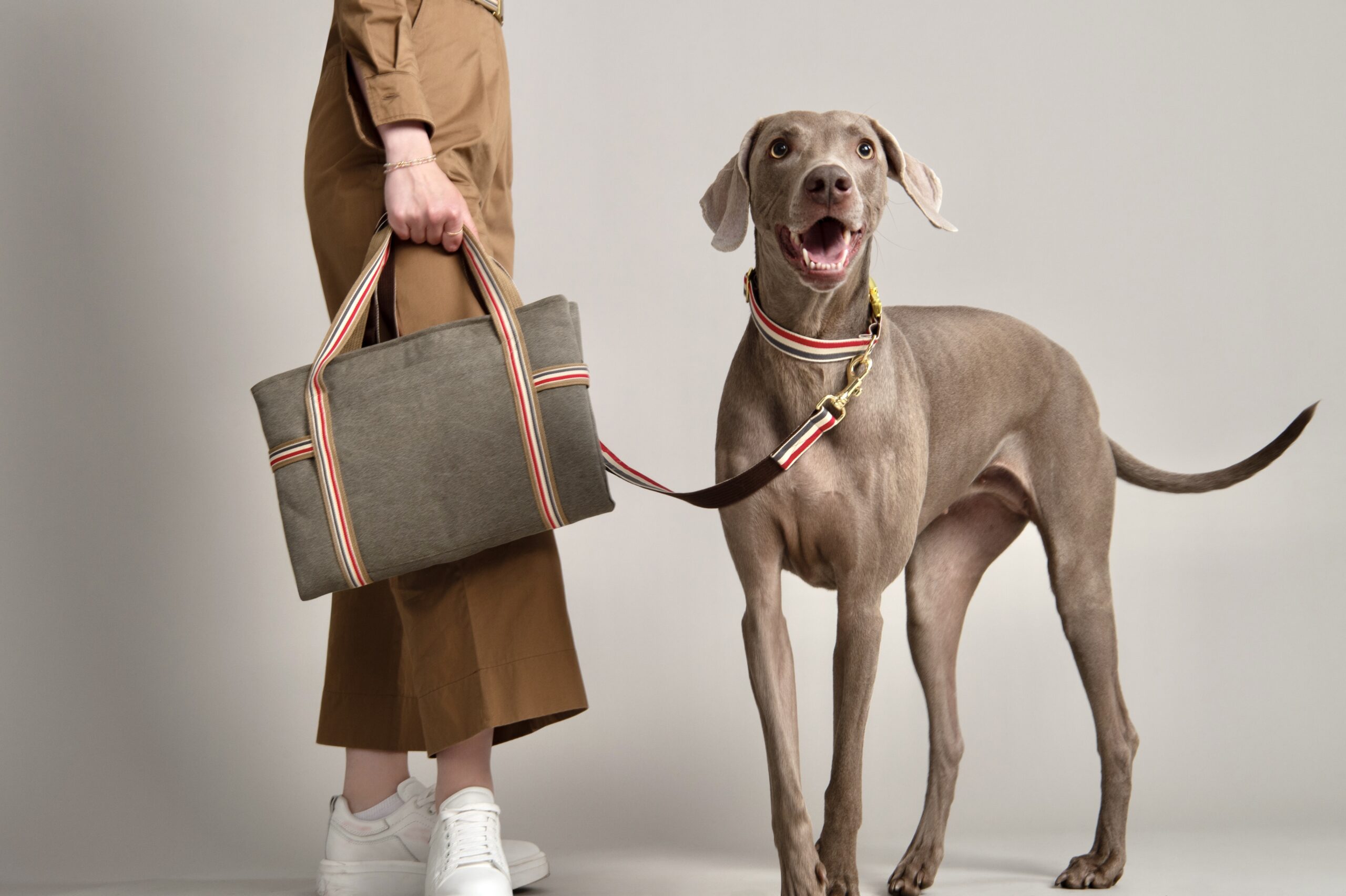 Online-Tiershop sorgt für Geschenke mit “Wau”-Effekt