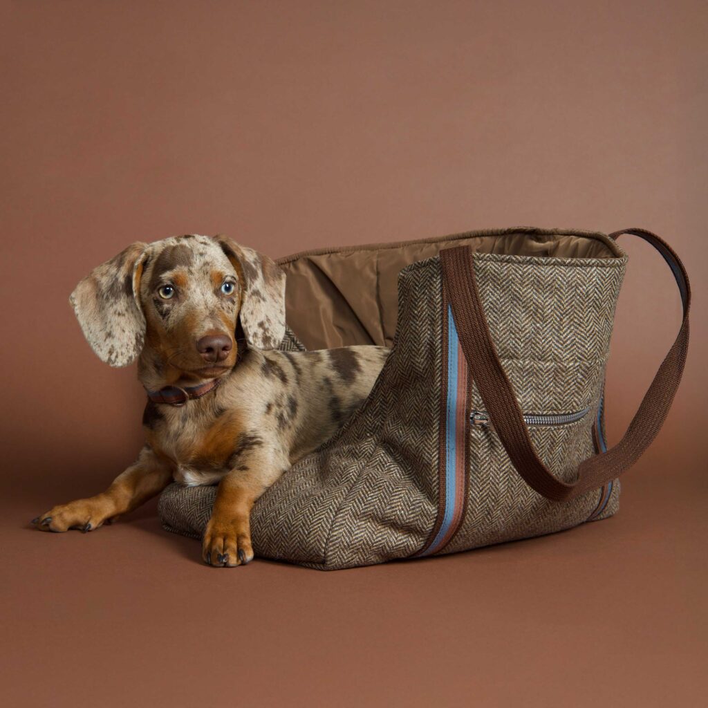 top dog cool cat Hundetweedtasche