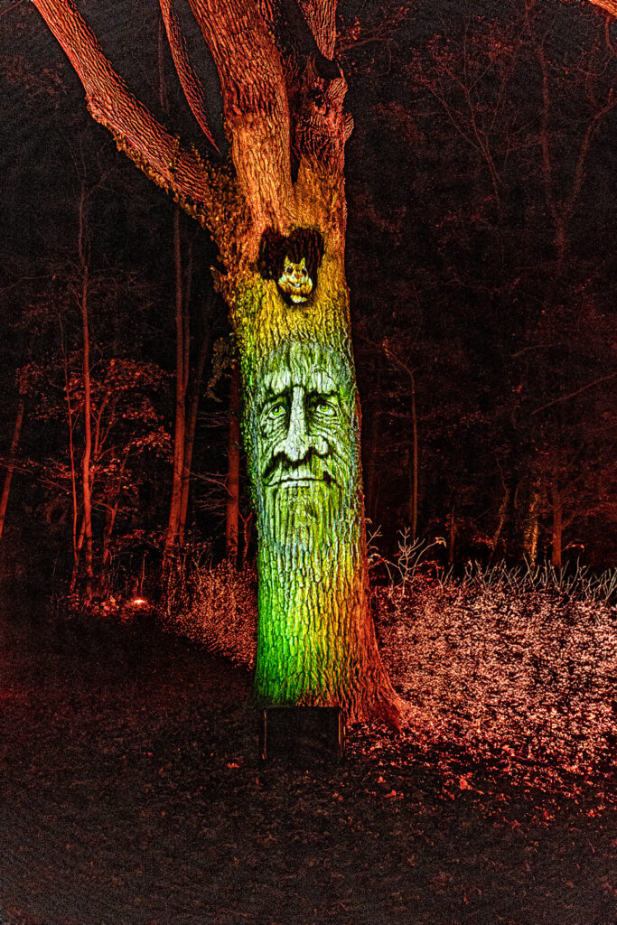 Internationale Lichtkünstler präsentieren ihre Installationen eines drei Kilometer langen Weges durch den Schlosspark. © Illumina Lichtergarten GmbH