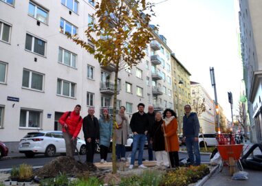 Grün-Upgrade: Erste Bäume für Wilhelm-Exner-Gasse