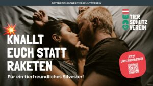 „Gusch statt Tusch“: Tierschutz-Verein fordert ruhigeres Silvester