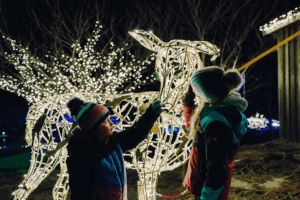 Bucklige Welt: Lichterglanz Spektakel in der Eis-Greissler-Welt