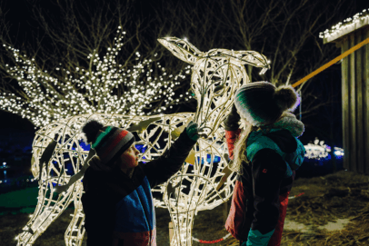 Bucklige Welt: Lichterglanz Spektakel in der Eis-Greissler-Welt