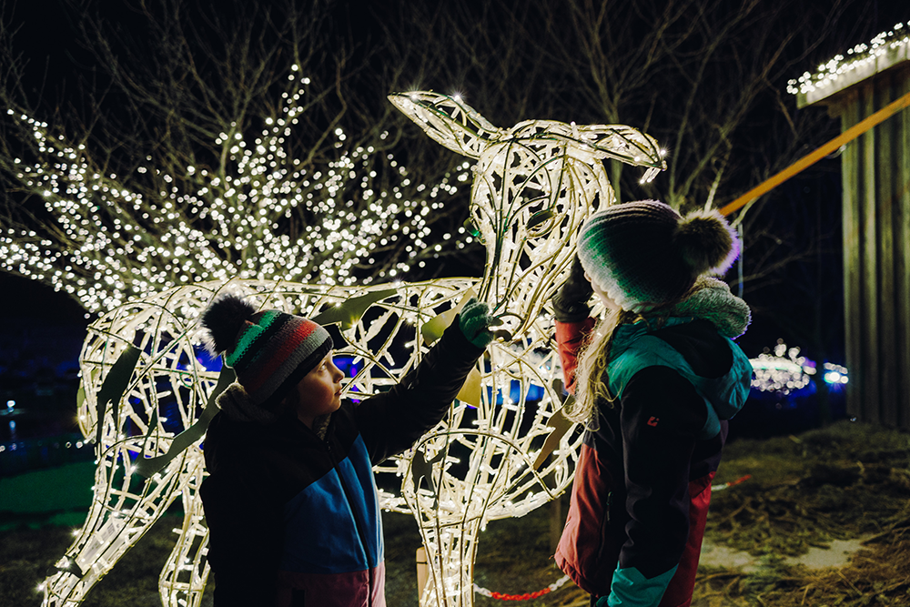 Bucklige Welt: Lichterglanz Spektakel in der Eis-Greissler-Welt