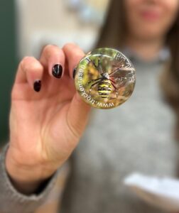 Kinder als Naturschützer