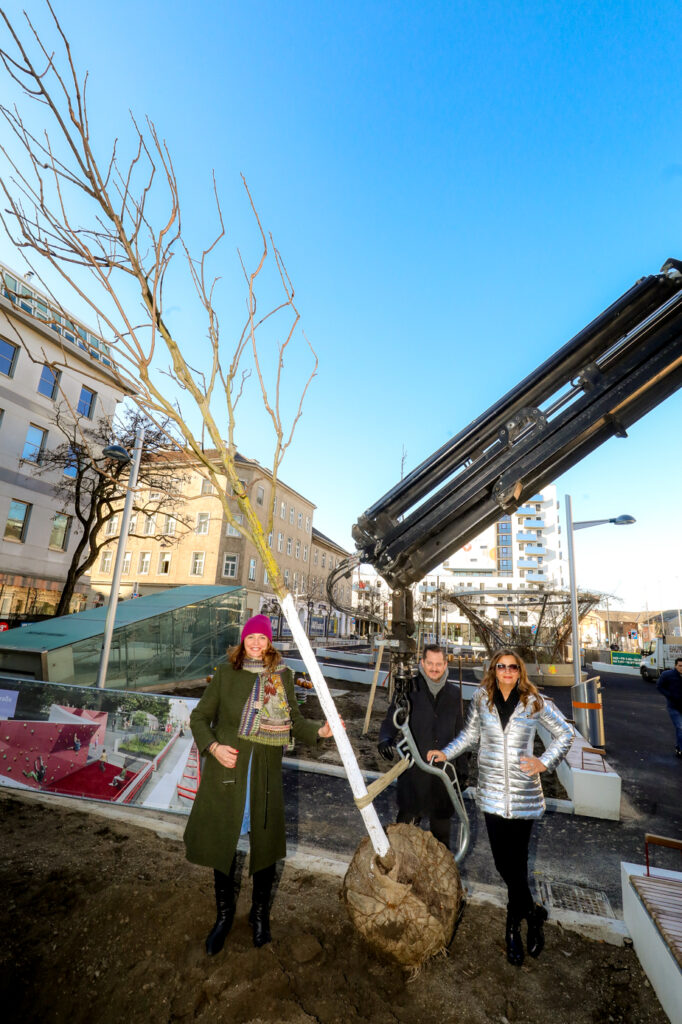 Gemeinsam wurde der Schlussbaum gesetzt © Stadt Wien/Christian Fürthner 