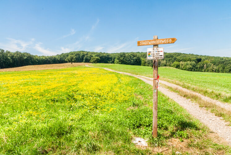 Dieser Stadtwanderweg führt durch herrliche Landschaften © Berger