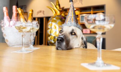 Rund um den Flughafen wird Silvester zur stillen Nacht