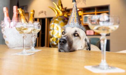 Rund um den Flughafen wird Silvester zur stillen Nacht