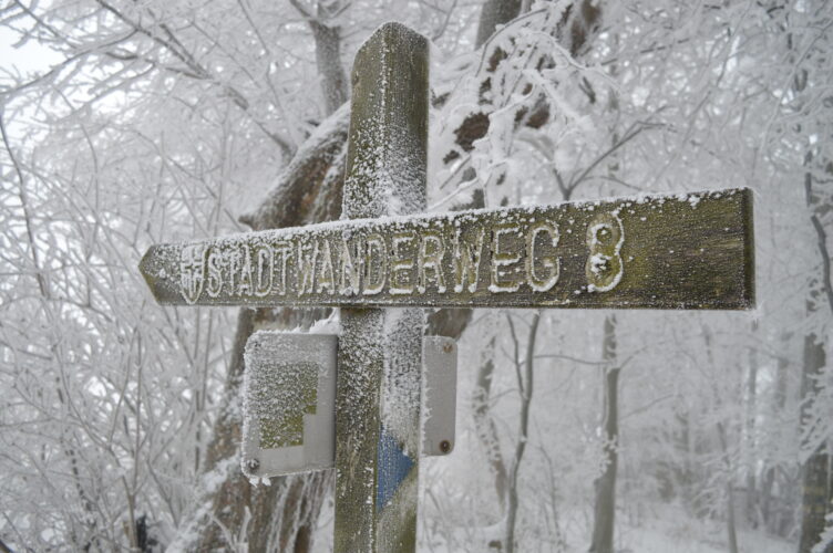 Der Stadtwanderweg 8 ist auch im Winter einen Weg wert © Berger