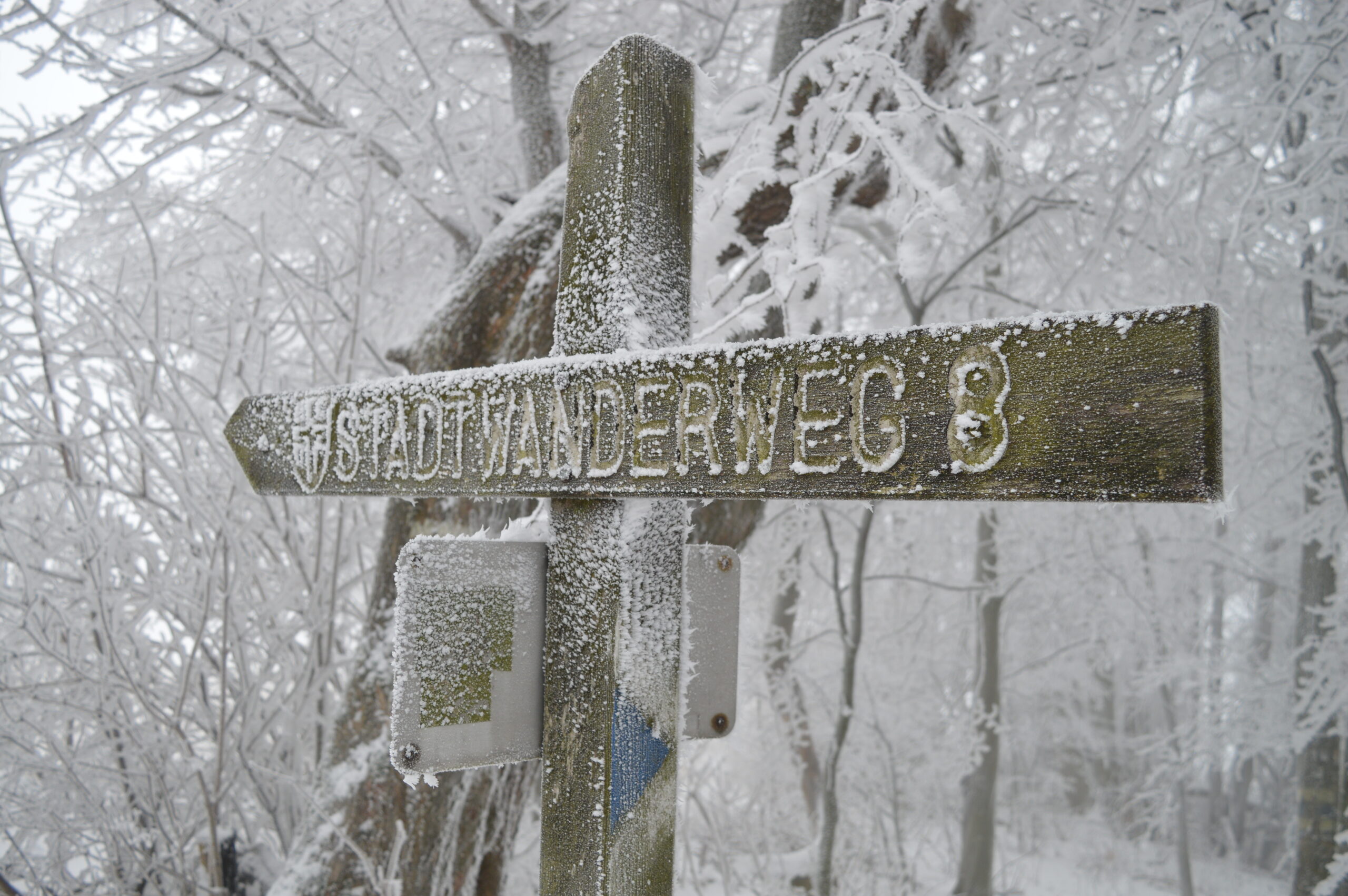 Stadtwanderweg 8: Über die Sophienalpe