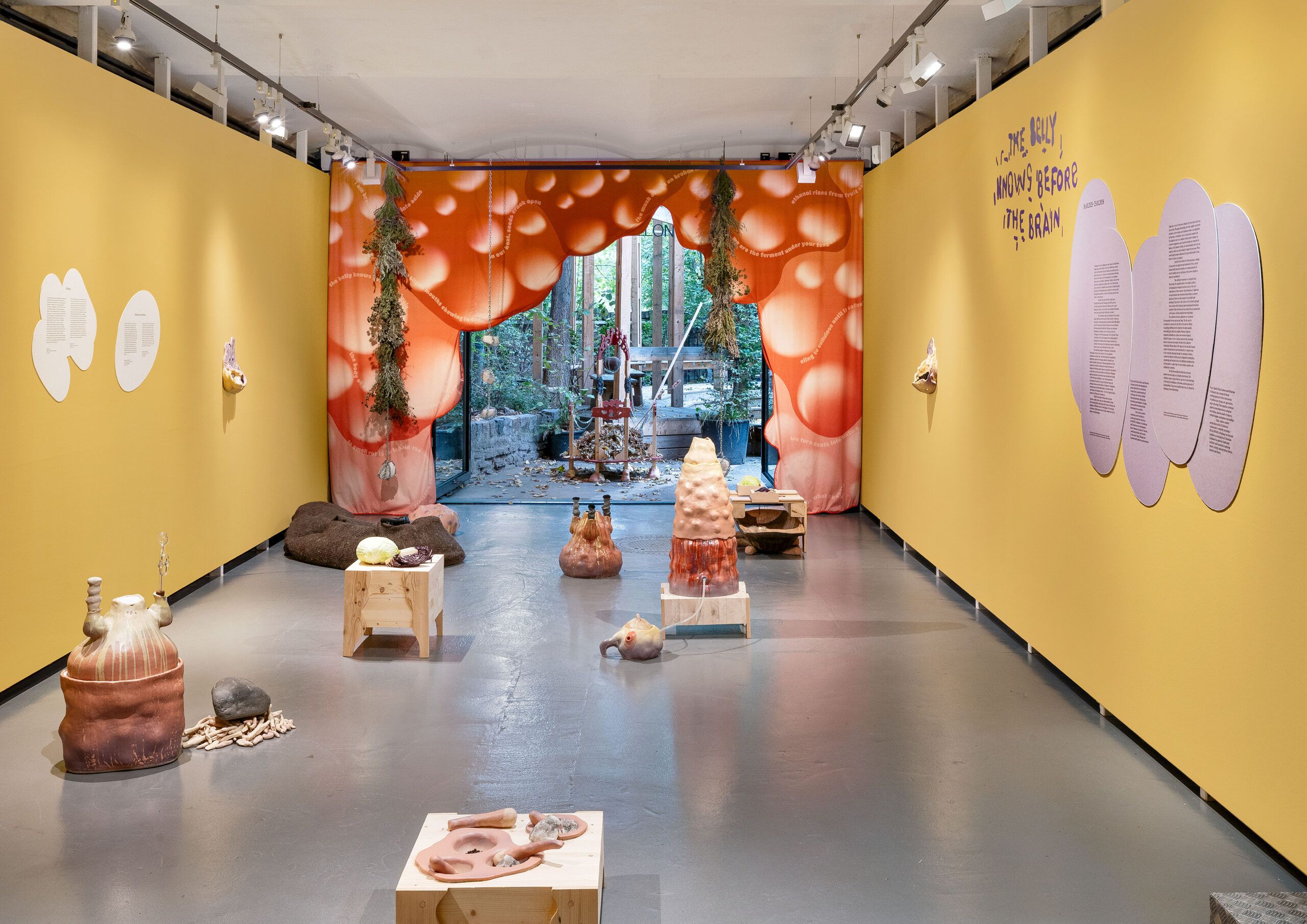 Heuer im KunstHausWien: von Klima-Biennale bis Avantgarde