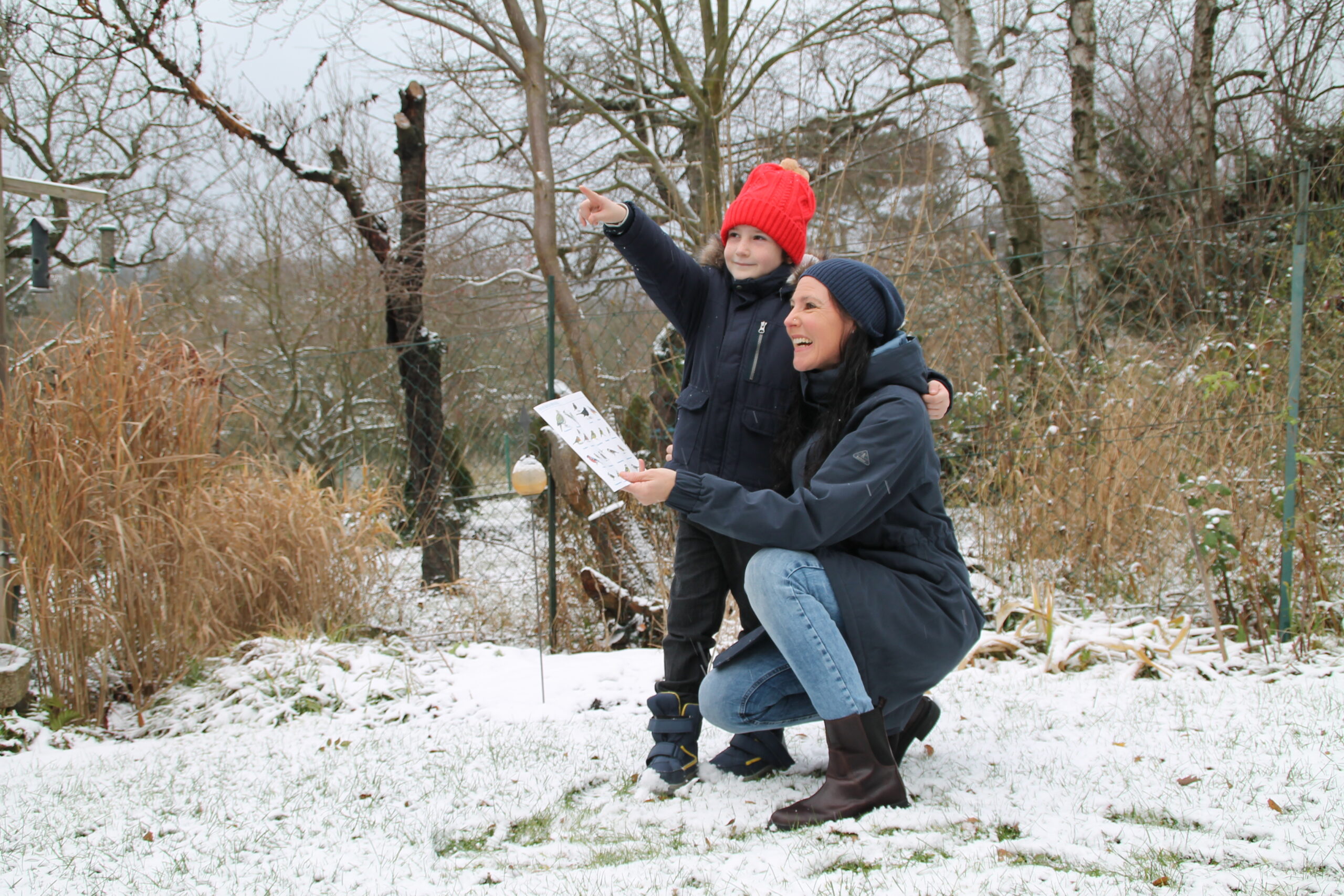 In den Jänner-Tagen schlägt die Stunde der Wintervögel