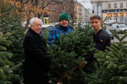 Waldviertler Christbäume sorgen für Freude bei der Volkshilfe