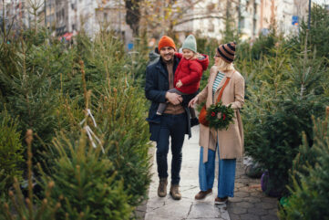 Oh du Fröhliche: In Wien beginnt der Christbaum-Verkauf