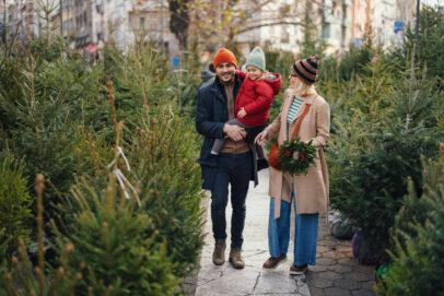 Oh du Fröhliche: In Wien beginnt der Christbaum-Verkauf