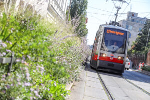 Auch in der Kreuzgasse in Währing ist die Straßenbahnlinie 42 jetzt ungehindert unterwegs. © PID/Christian Fürthner