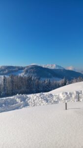 Urlaub am Bauernhof im SalzburgerLand
