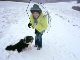 Frost, Schnee & Eis: So kommen Hunde sicher durch den Winter