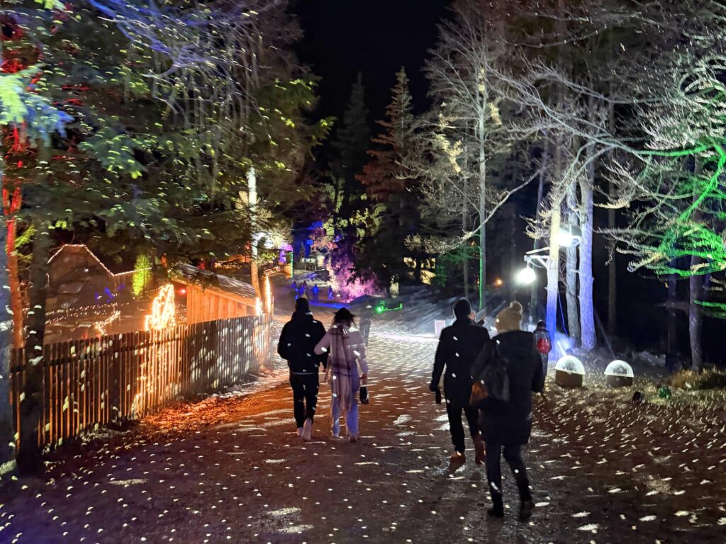 Bürgeralpe Mariazell