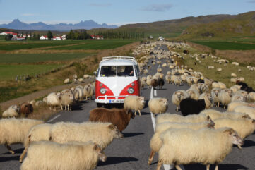 Reise- & Abenteuerfestival 2026 bringt die ganze Welt ins Alte AKH